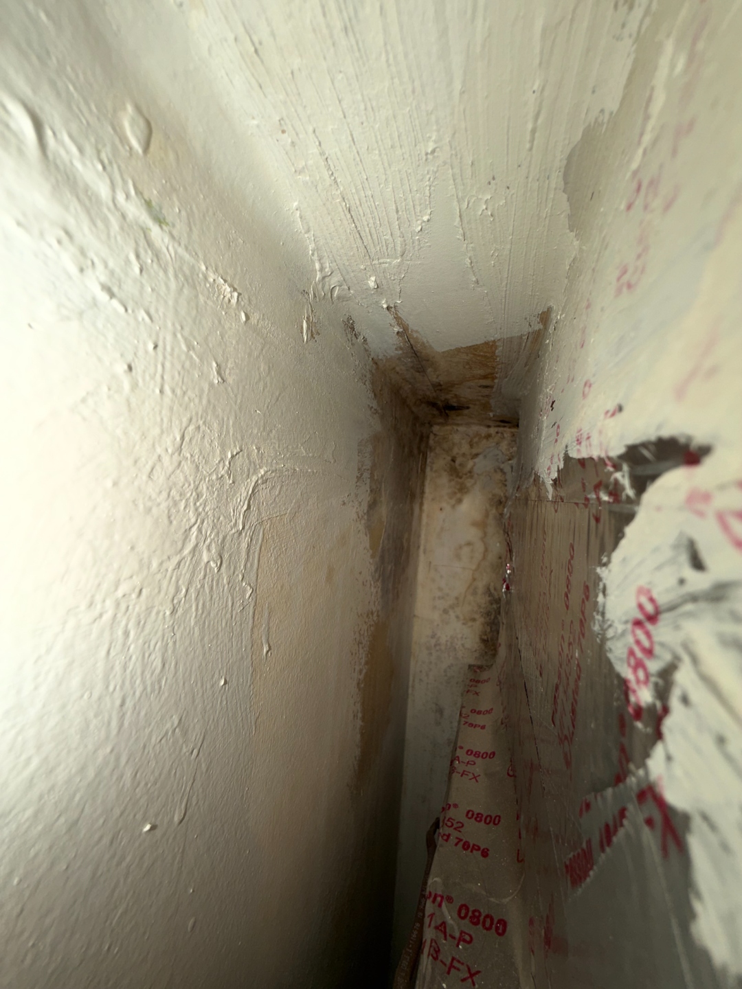 Water-related staining and suspect microbial growth at a ceiling-to-wall corner behind the air handler.