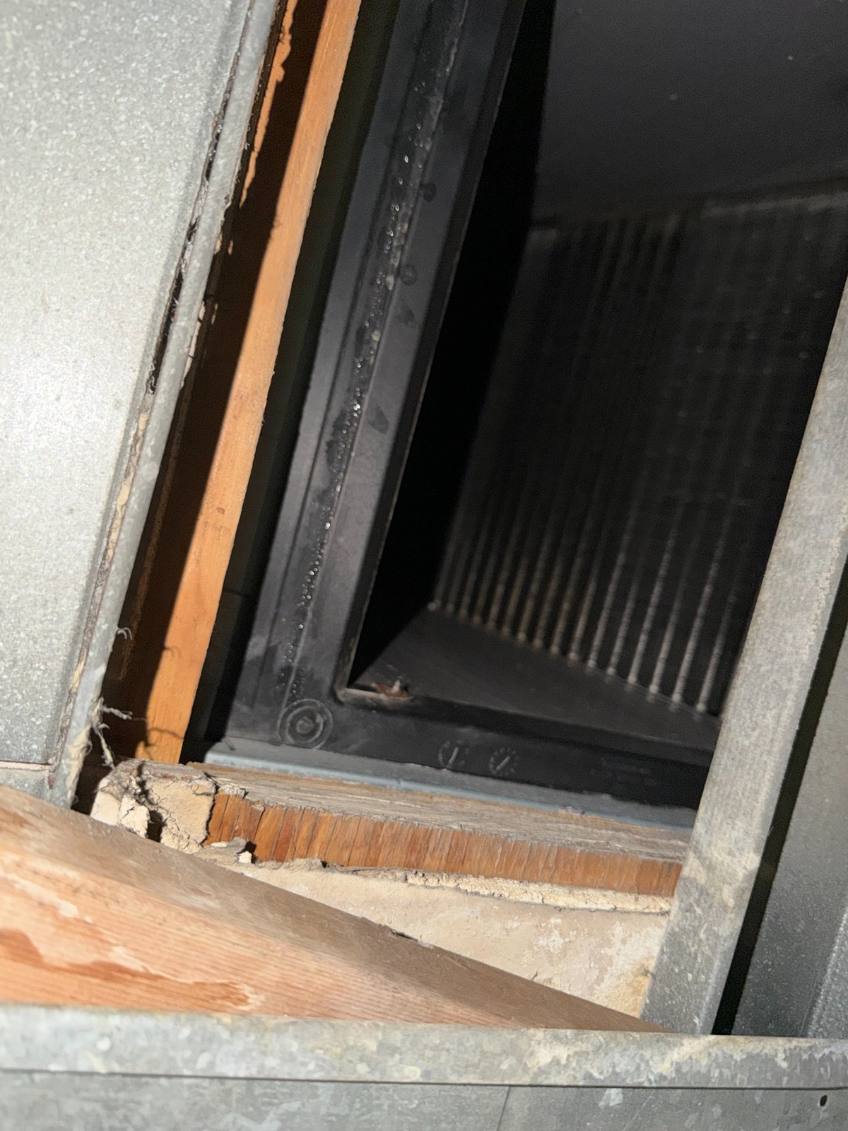 Accessible HVAC coil area evaluated during Plantation Florida mold inspection.