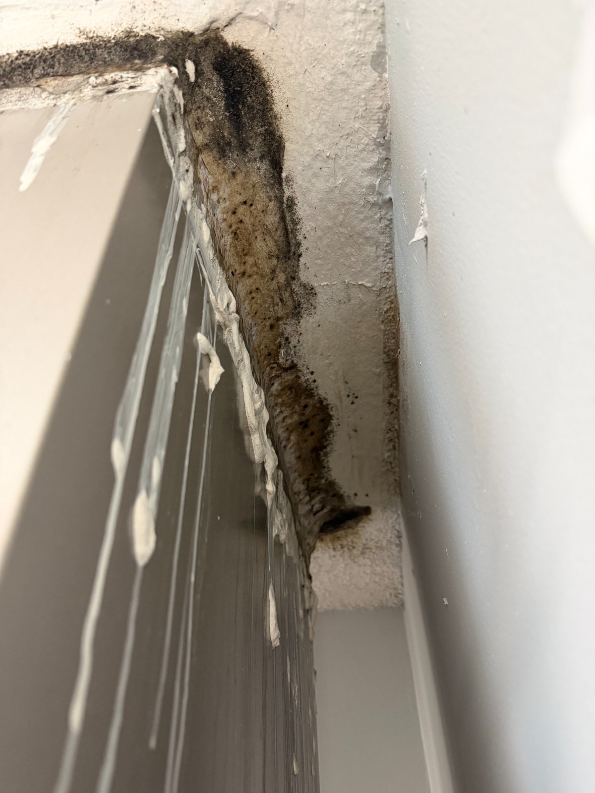 Staining and suspected fungal like growth near garage air handler in Plantation FL.