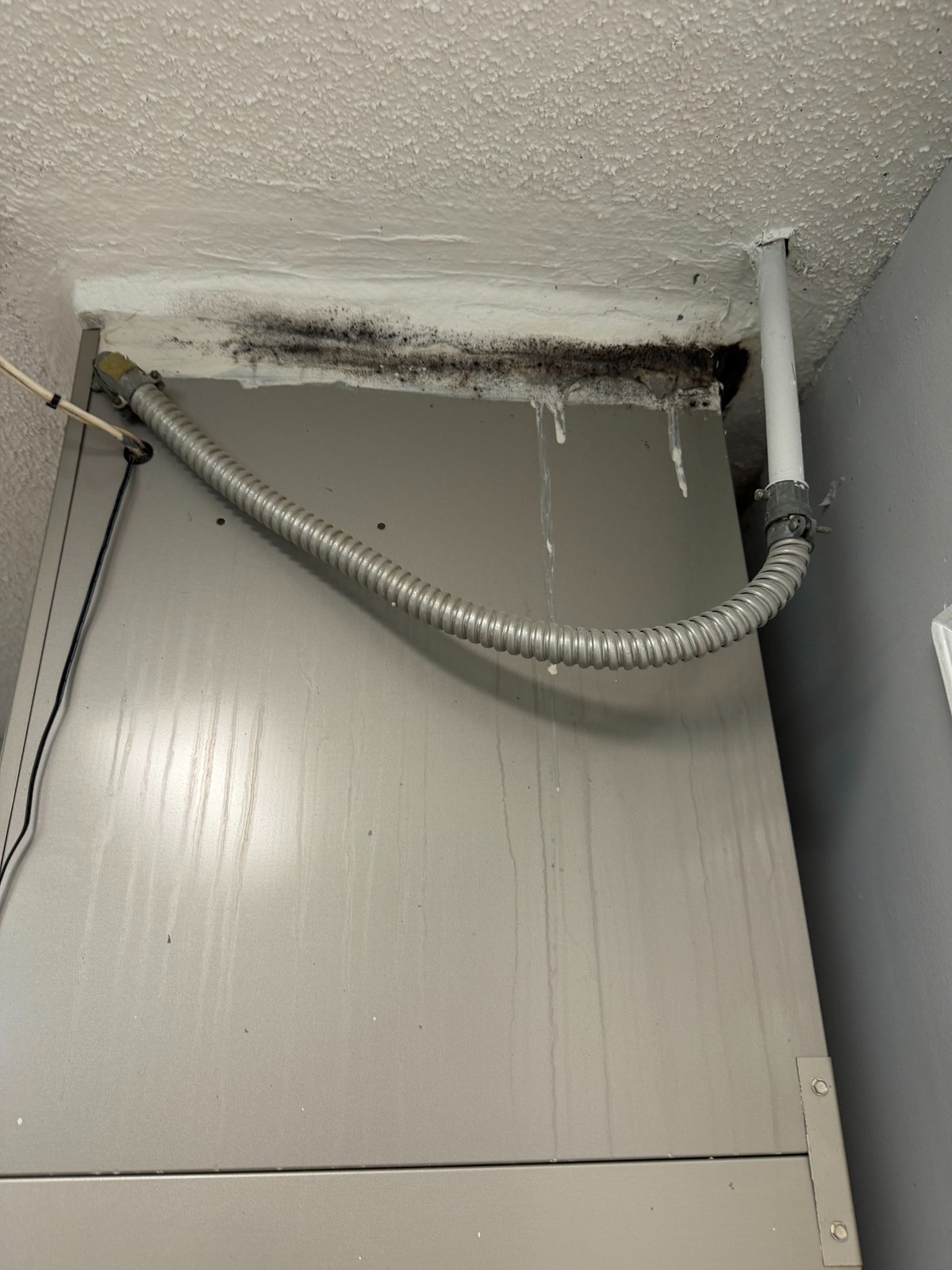 Garage air handler area with staining during Plantation Florida mold inspection.