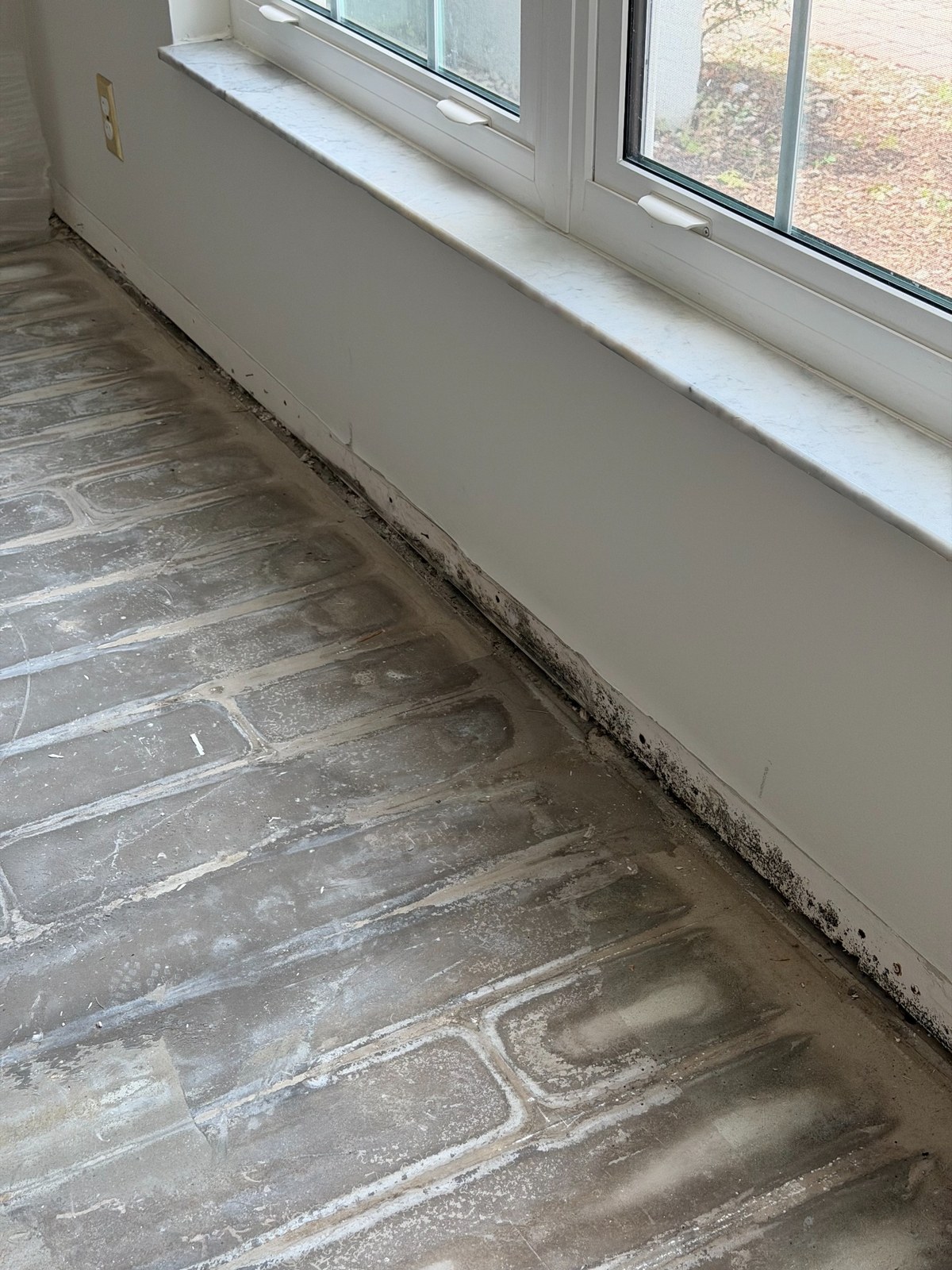 Exposed wall perimeter below window during Plantation mold inspection.
